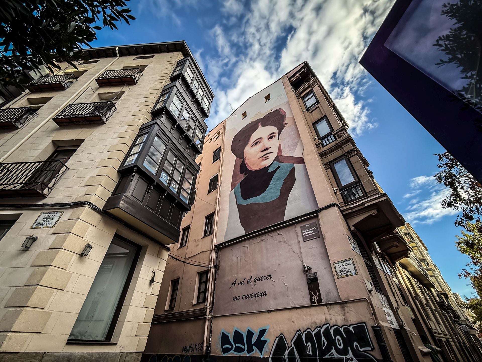 El rostro de la escritora María de la O Lejárraga, de la artista Andrea Btoy, visto desde la calle Bretón.